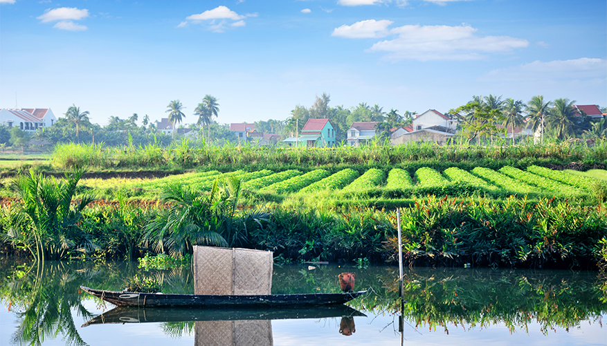 Rural landscapes, Vietnam